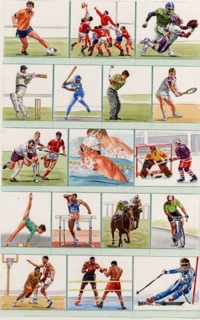 Pearson Education dictionary sports