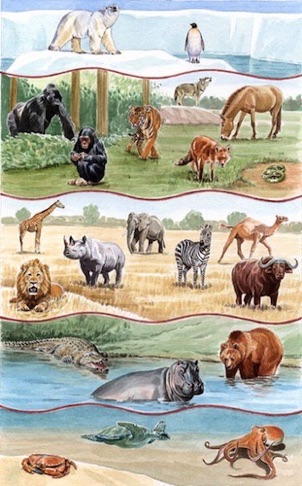 Pearson Education dictionary animals